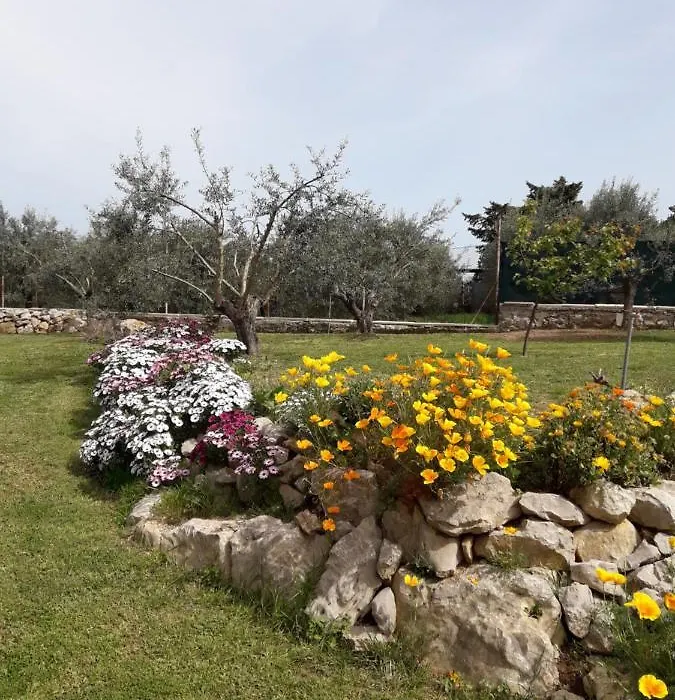 Casa Rosa-1