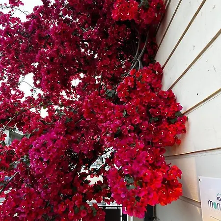 Mariviva Guest House-2
